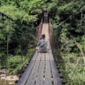 Meet your Posher, Annette